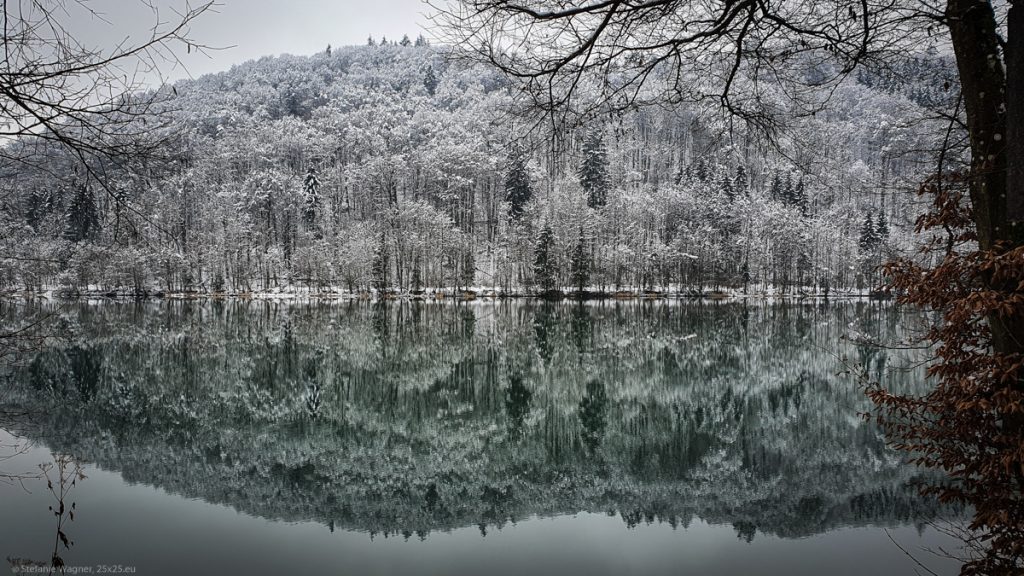 Snow covered trees without leaves in the distance, a river in the foreground, trees reflect on the even surface of the water, all mainly black and white