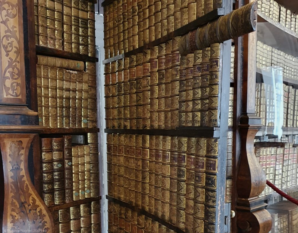 Door that has the back of books on one side and therefore looks like a bookshelf