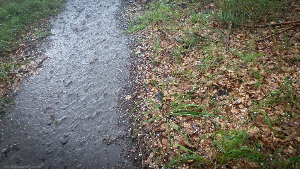 A lot of rain on a path, small hailstones on the ground