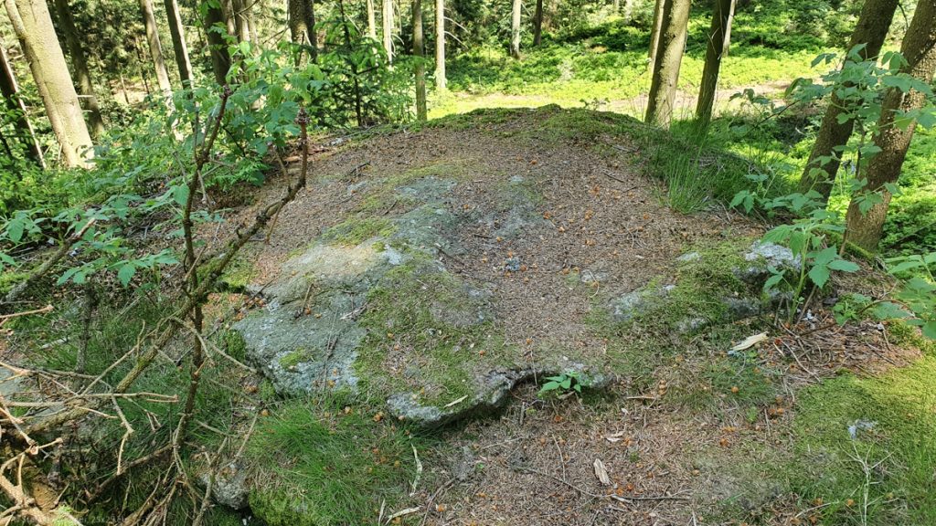 Top of the stone, mostly covered with stuff from the woods, a slight indentation can be seen with a lot of fantasy