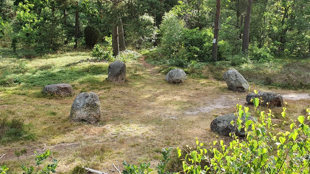 Clearing with trees and bushes around, 7 smaller stones in a circle