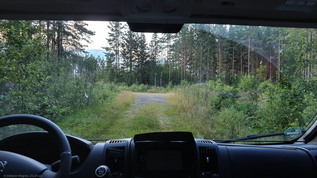 View from inside the car to the outside through the windshield, bushes and trees around, small path wide enough for a car