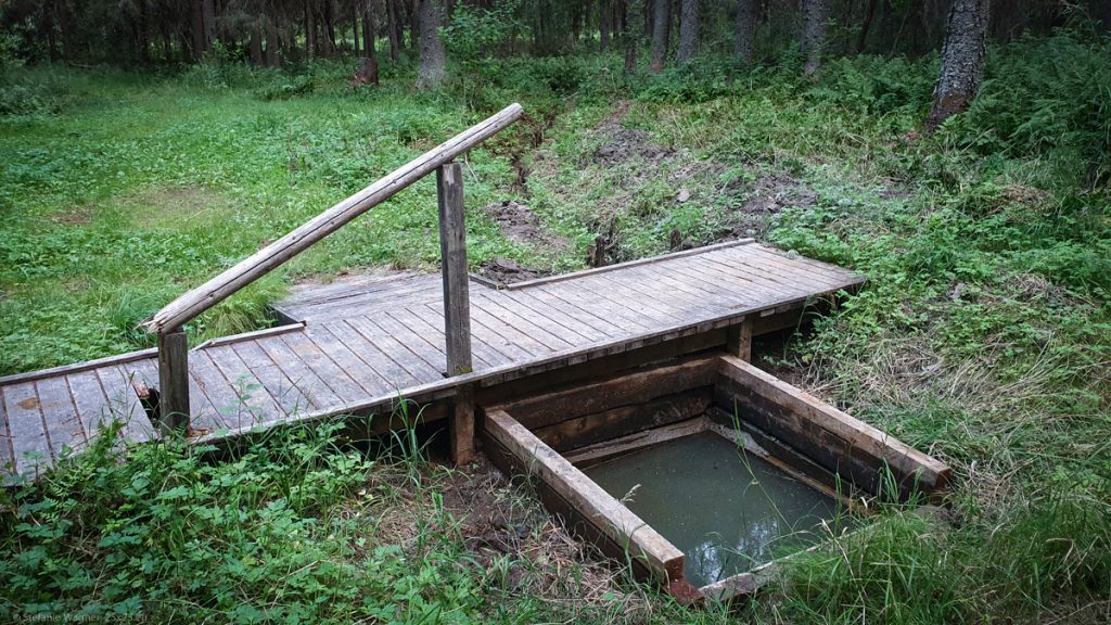 Meadow in the forest, short wooden path/bridge, green opaque water in a rectangle, wooden construction