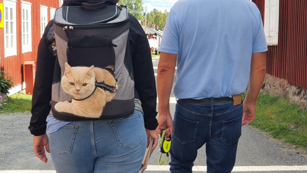 Couple walking, woman has a special backpack that carries a cat, cats head and one leg is outside of the backpack