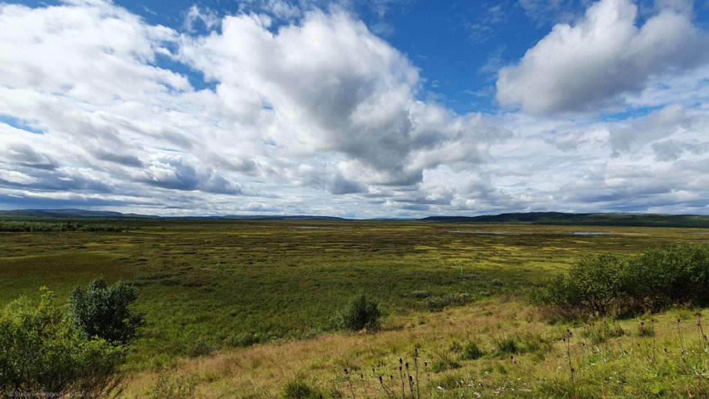 View across a flat green-brown landscape with some watery patches. Blue sky with clouds.