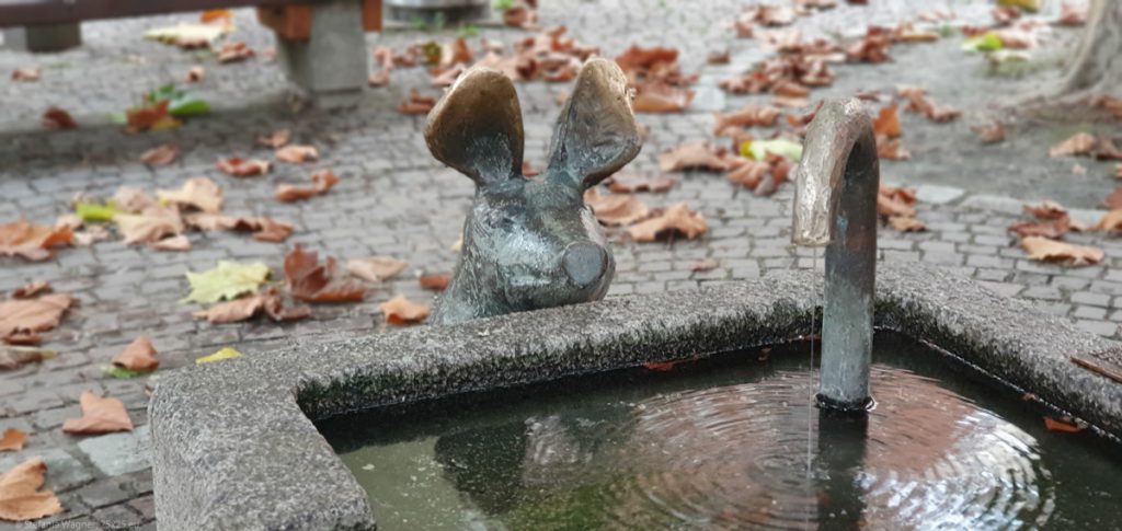 Metal piglet looking over the edge of a square stone fountain