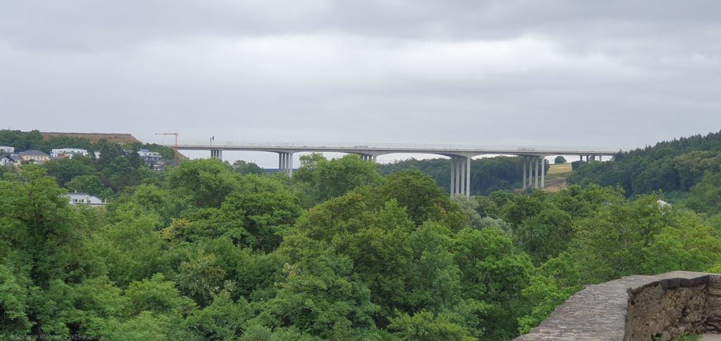 Highway bridge in some distance, trees in the front